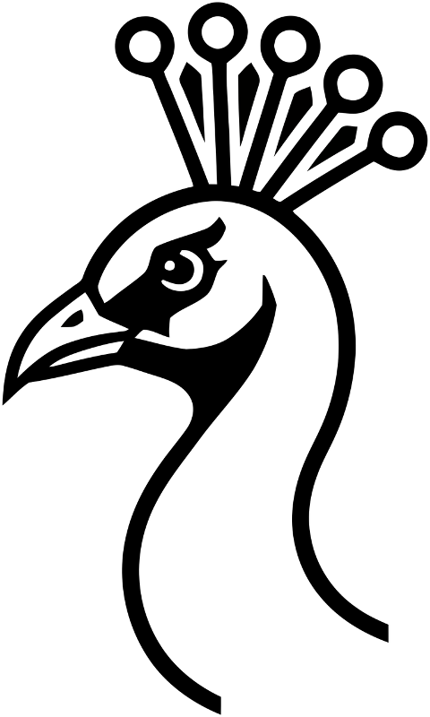 peacock-head-geometric-outline-9908086