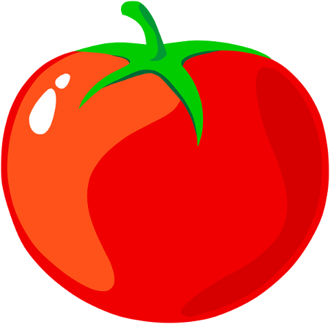 tomato-fruit-vegetable-red-sauce-4984619
