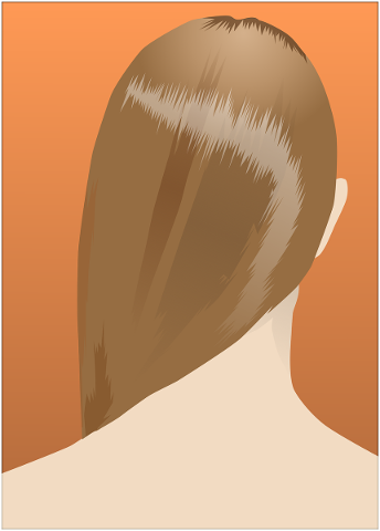 woman-hair-back-view-girl-model-5155503