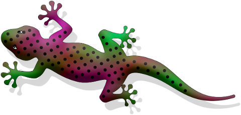 gecko-lizard-colorful-shadow-4794415