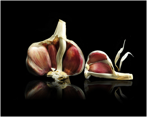 garlic-plant-kitchen-healthy-cook-4997088