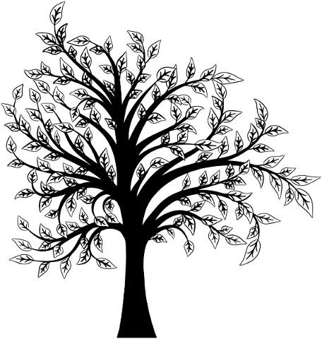 tree-silhouette-gnarled-tree-tree-5403230