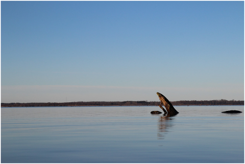 water-sky-nature-lake-landscape-4778812