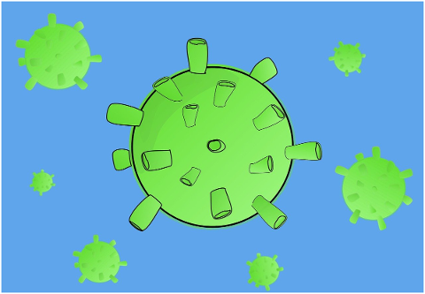coronavirus-virus-pathogen-disease-5189253