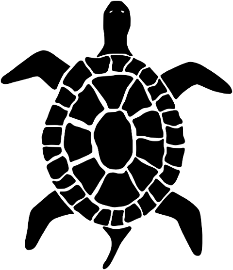 turtle-icon-simple-turtle-drawing-6995584