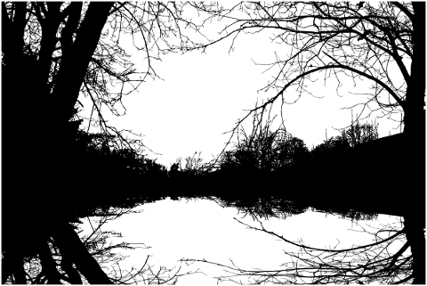 forest-trees-silhouette-lake-pond-5178898