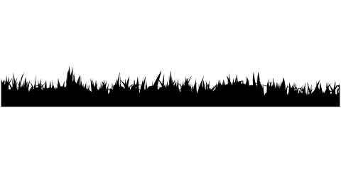 vegetation-grass-silhouette-5171420