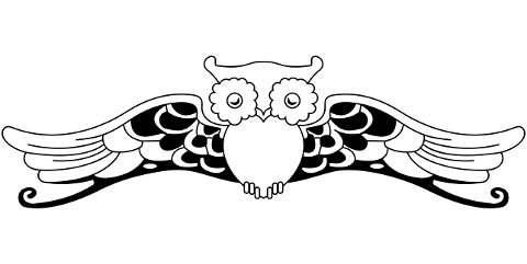 owl-bird-animal-line-art-abstract-4403543
