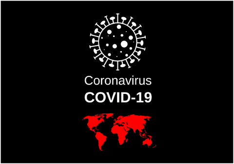 virus-coronavirus-sars-cov-2-flash-4915859