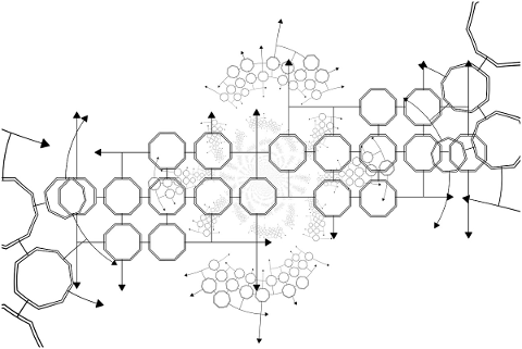 block-chain-network-networking-web-4728471