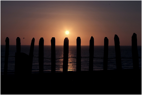 sea-fence-fence-post-sunset-4587518