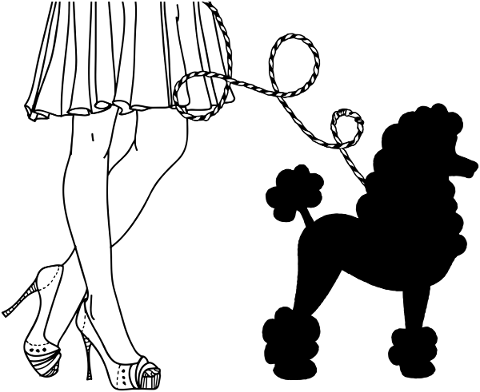 poodle-cute-silhouette-dog-pet-5049125