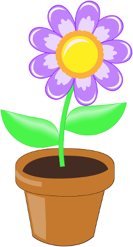 flower-purple-yellow-brown-pot-4408356