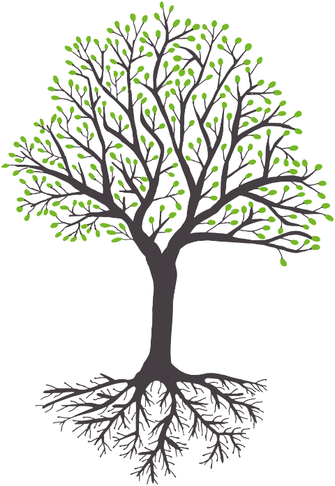 nature-deciduous-tree-spring-root-8658421