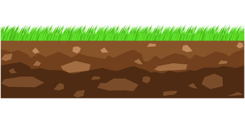 grass-ground-dirt-rocks-green-7855873