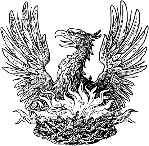 phoenix-greek-mythology-bird-8111177