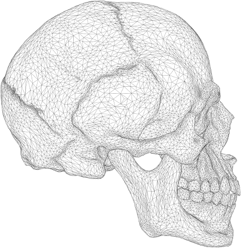 skull-head-low-poly-line-art-7551994