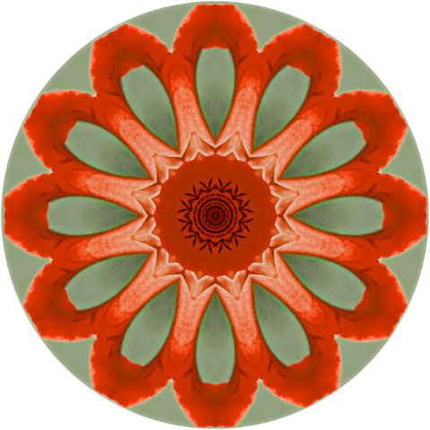 rosette-mandala-art-abstract-7116148