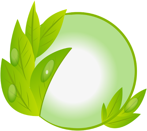 leaf-nature-leaves-herb-green-9830668