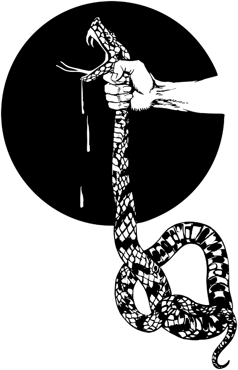 snake-choke-strangle-serpent-7872321