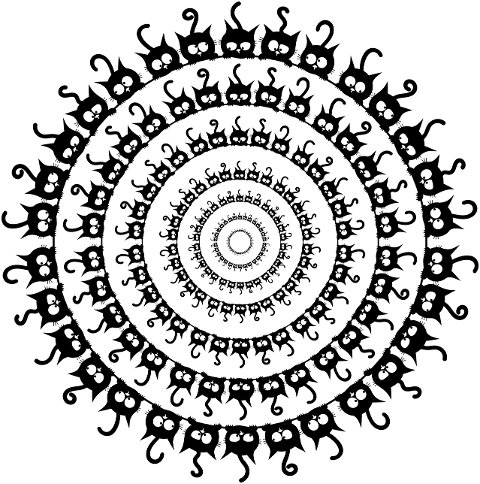 cat-kitten-black-cats-pet-animal-9636049