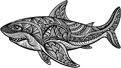 shark-animal-predator-aquatic-8853356