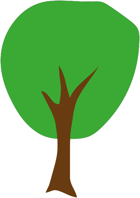 tree-deciduous-tree-plant-nature-7283829