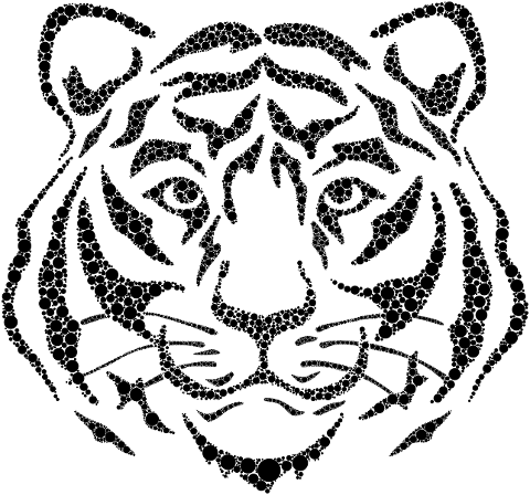 tiger-circles-animal-predator-cat-7038185