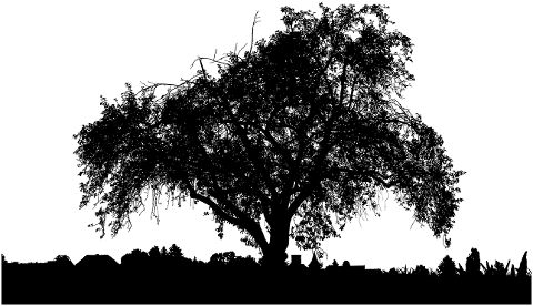 tree-landscape-silhouette-nature-8605252