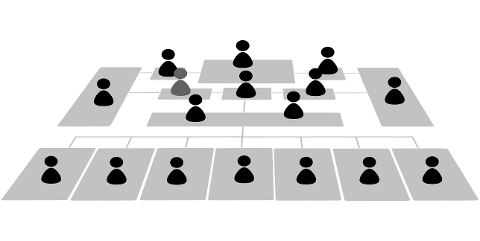 organization-chart-hierarchy-staff-7276446