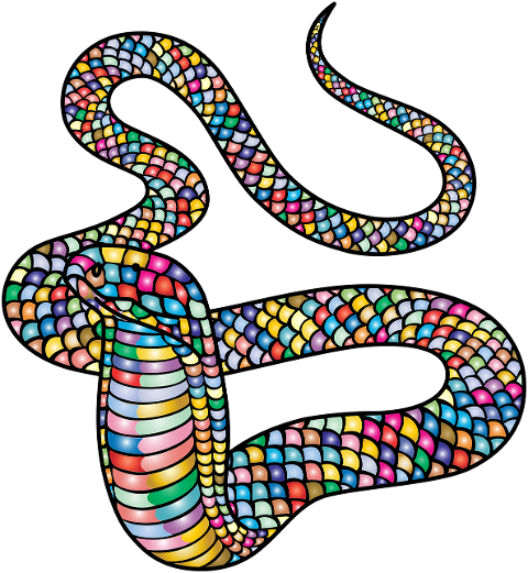 king-cobra-snake-animal-reptile-6884216