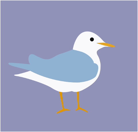 seagull-bird-cartoon-symbol-icon-7282992