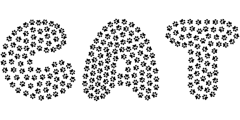 cat-paw-prints-animal-typography-7872363
