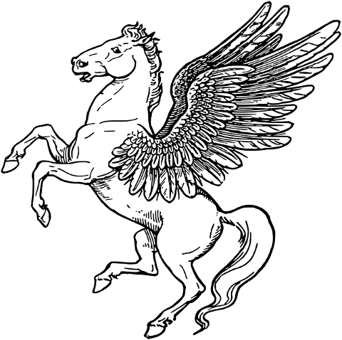 pegasus-horse-wings-animal-8095363