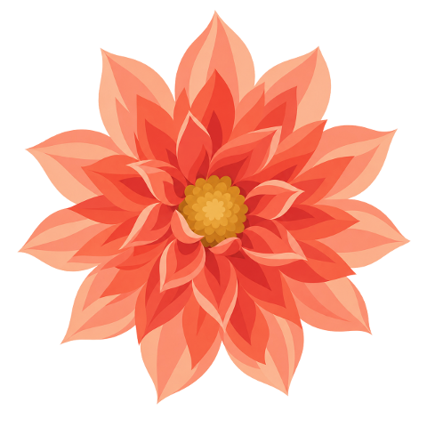 coral-dahlia-dahlia-flower-10484974