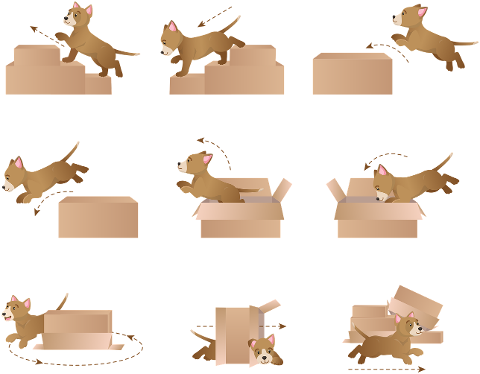 prepositions-of-movement-dog-box-7028872