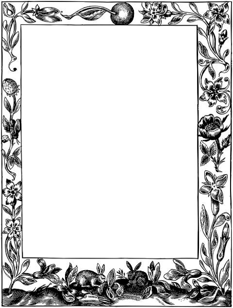 frame-border-flourish-line-art-7378296