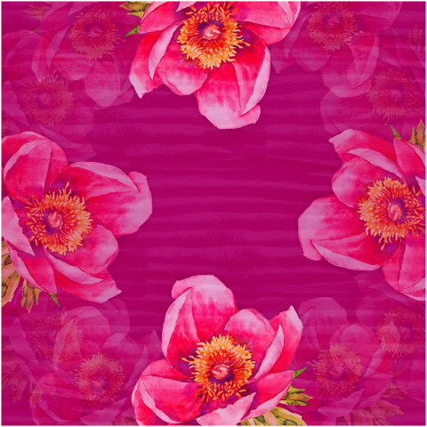 pink-flowers-border-frame-6081347
