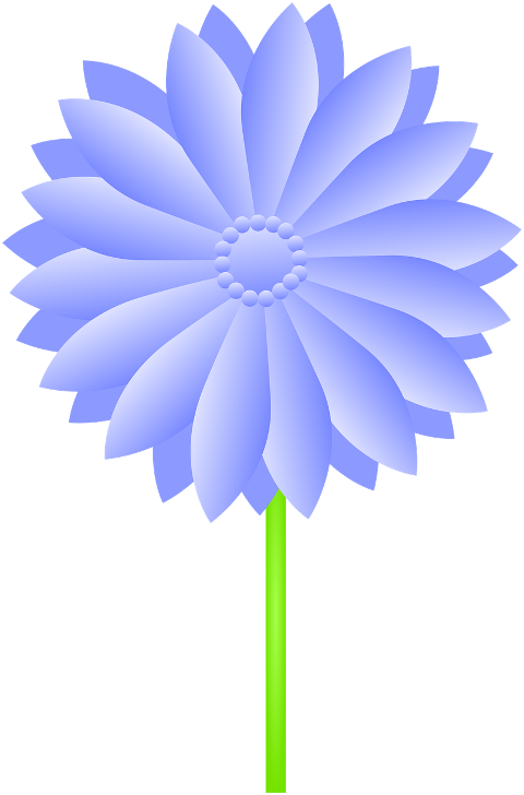 flower-design-plant-nature-floral-7170677