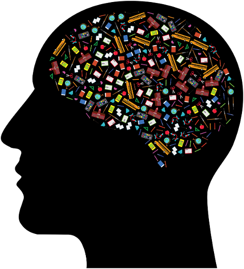 school-man-head-brain-mind-7701954