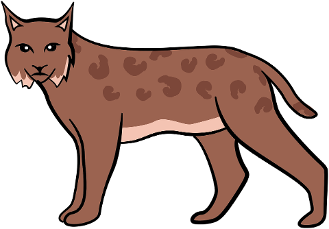 lynx-hyena-feline-wildcat-animal-7846303