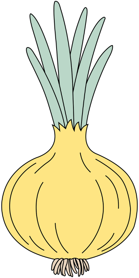 onion-vegetable-food-onion-bulb-6871012