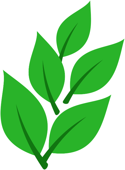 green-leaf-plant-nature-spring-9850193