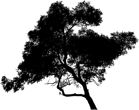tree-silhouette-cutout-6785074