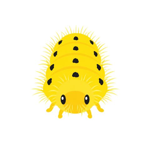 yellow-beetle-insect-nature-10353925