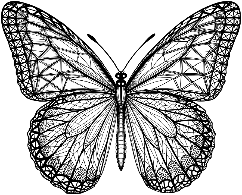 ai-generated-butterfly-insect-9574675
