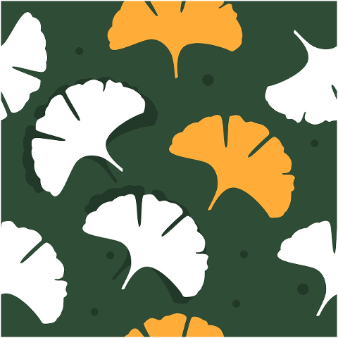 nature-leaves-tree-fall-green-9981295