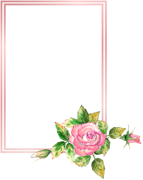 fram-border-rose-flower-decorate-6566630