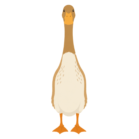 indian-runner-duck-cartoon-character-10360643