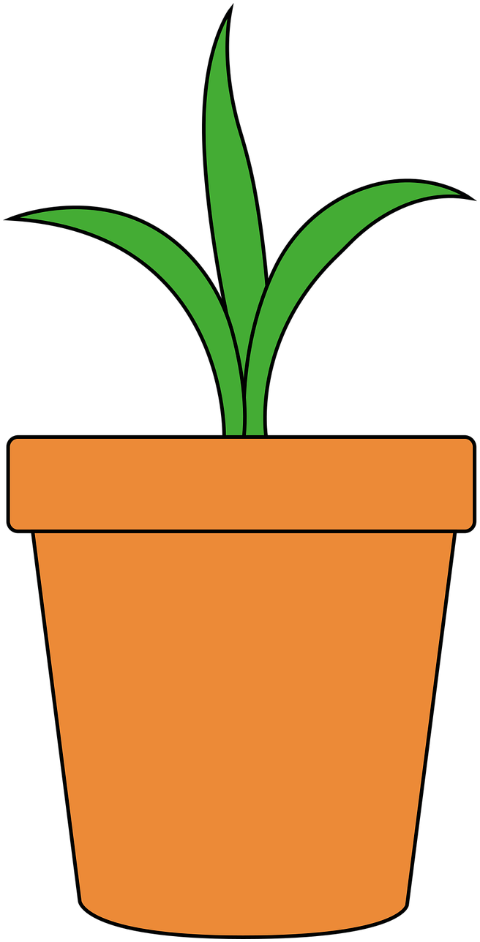 pot-plant-botany-houseplant-growth-6891759